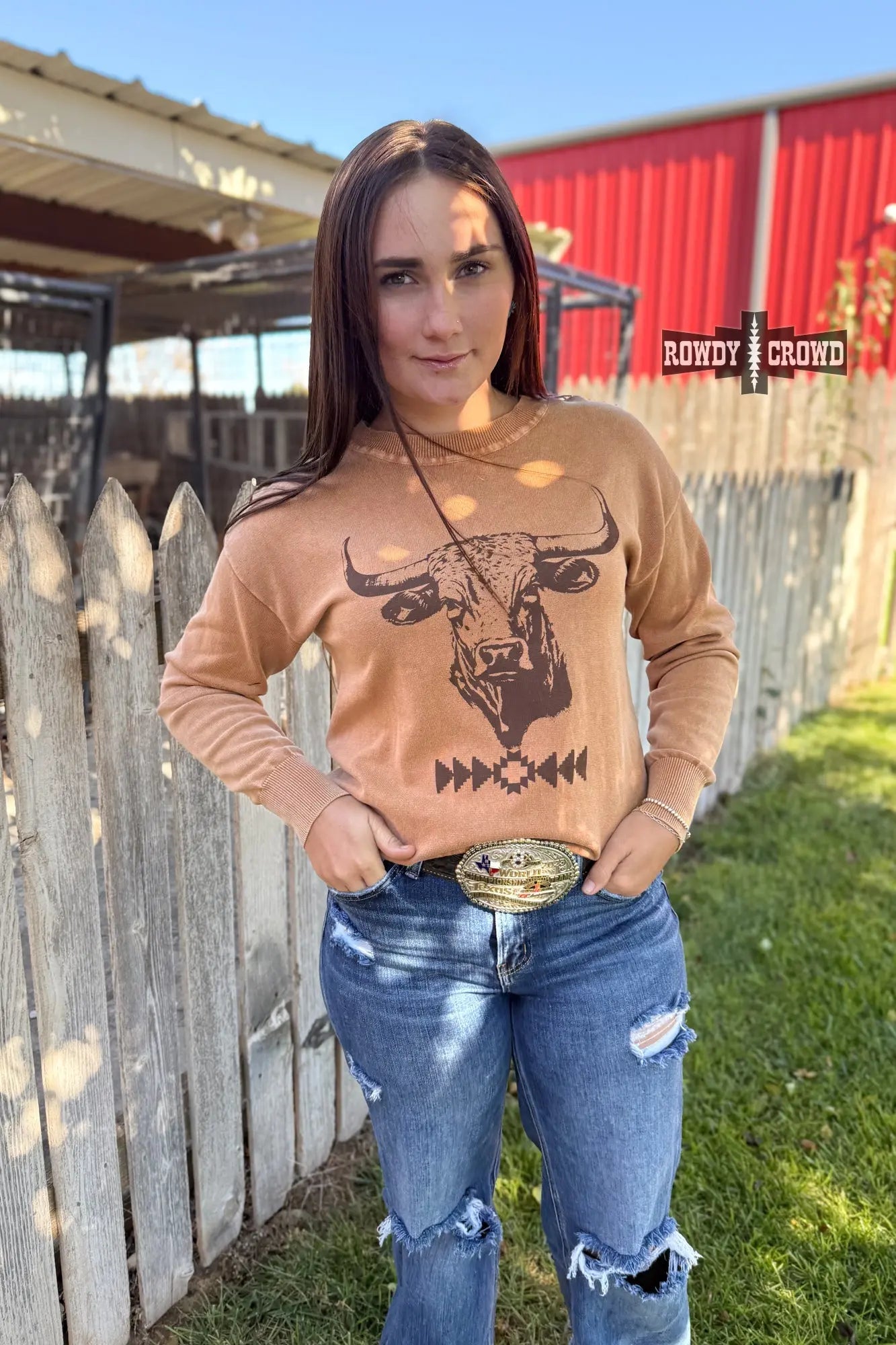 Bold longhorn graphic Western sweater with southwestern motif