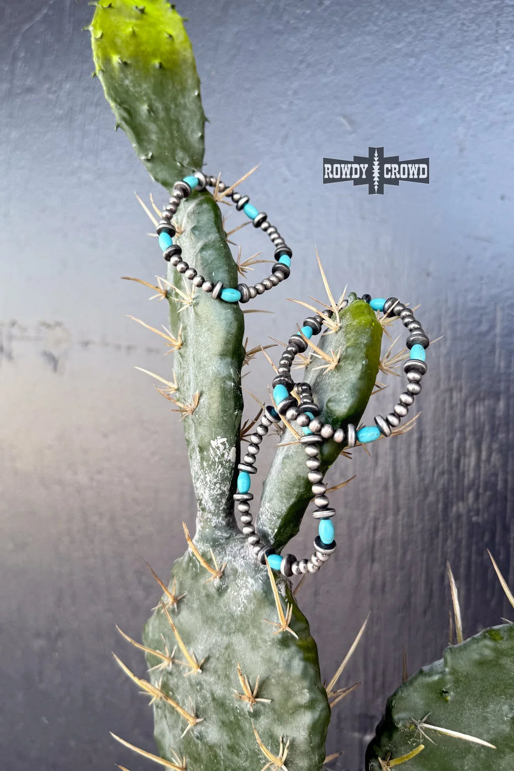 Silver Spirit Earrings-Rowdy Crowd