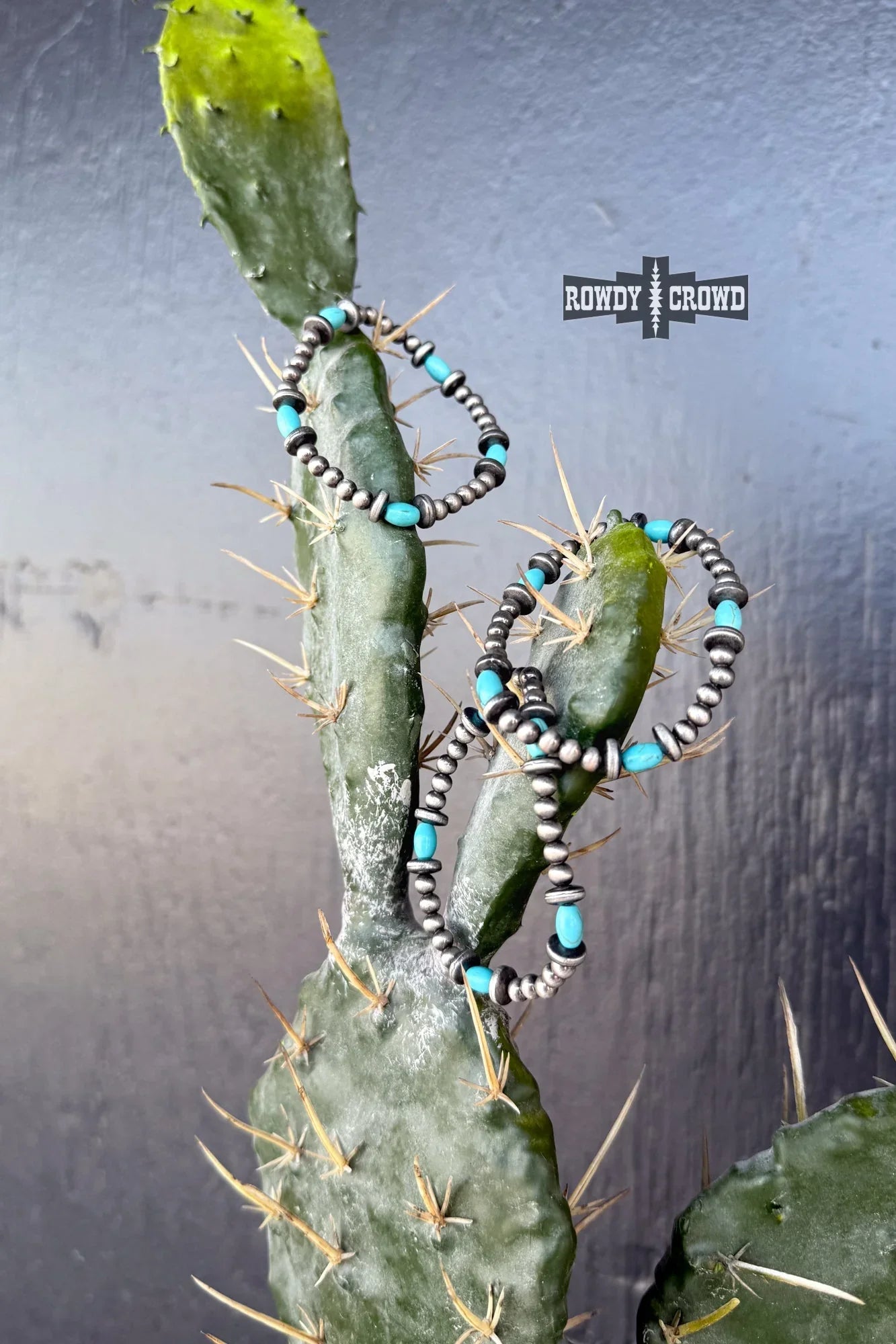 Silver Spirit Earrings-Rowdy Crowd