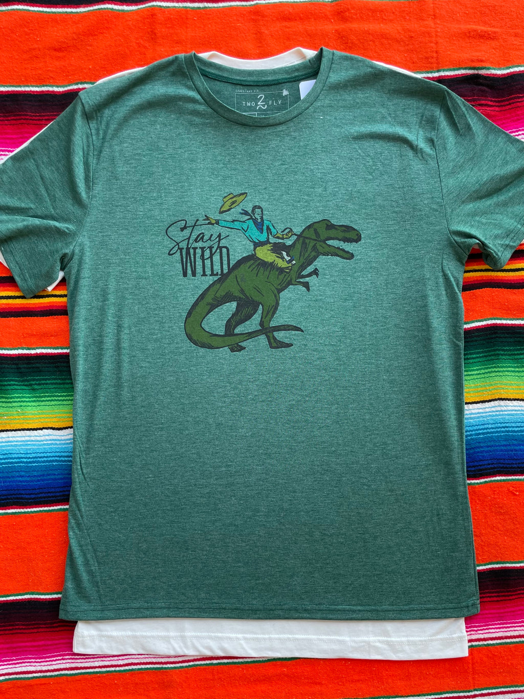 Green t-shirt with a dinosaur graphic and text on a colorful striped background